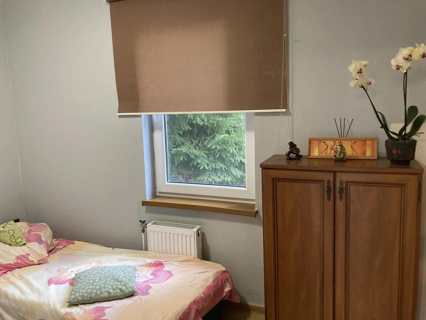 Widok na zieleń z okna apartamentu – Wólka Kłucka Mniów